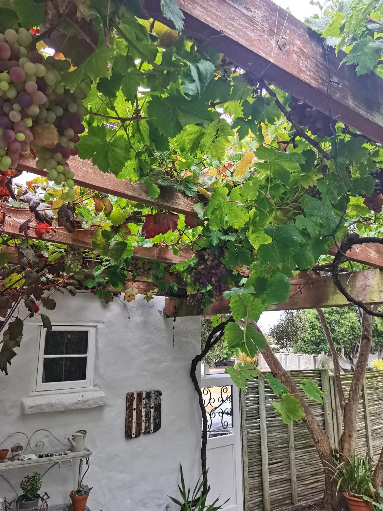 Vermont Lofts Hermanus Zewnętrze zdjęcie