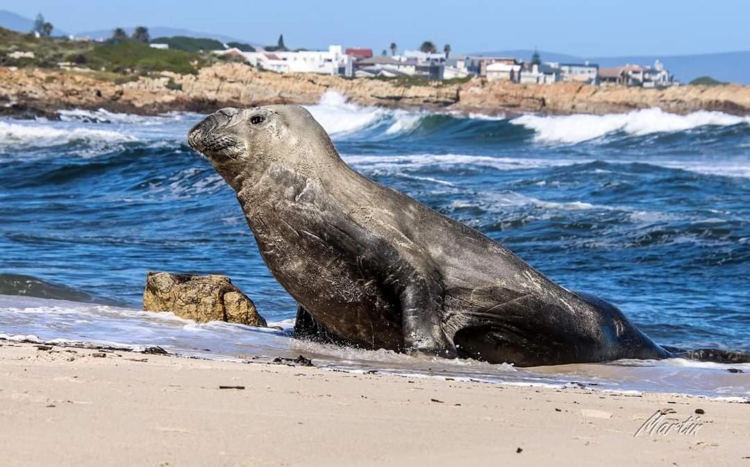 Vermont Lofts Hermanus Zewnętrze zdjęcie